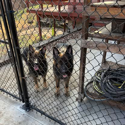 Arrow Fence Dog Fence Enclosures - Dog Kennels